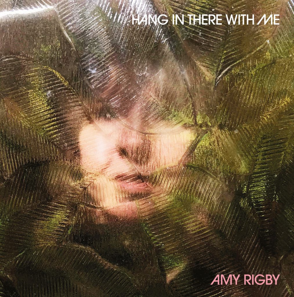 Amy Rigby – Hang In There with Me