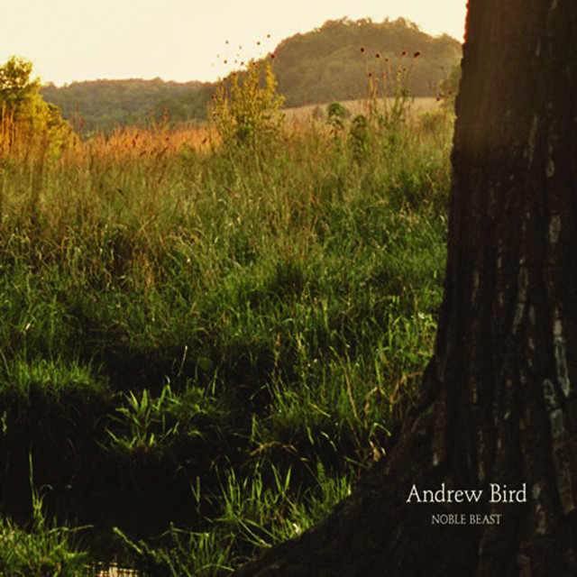 Andrew Bird – Noble Beast