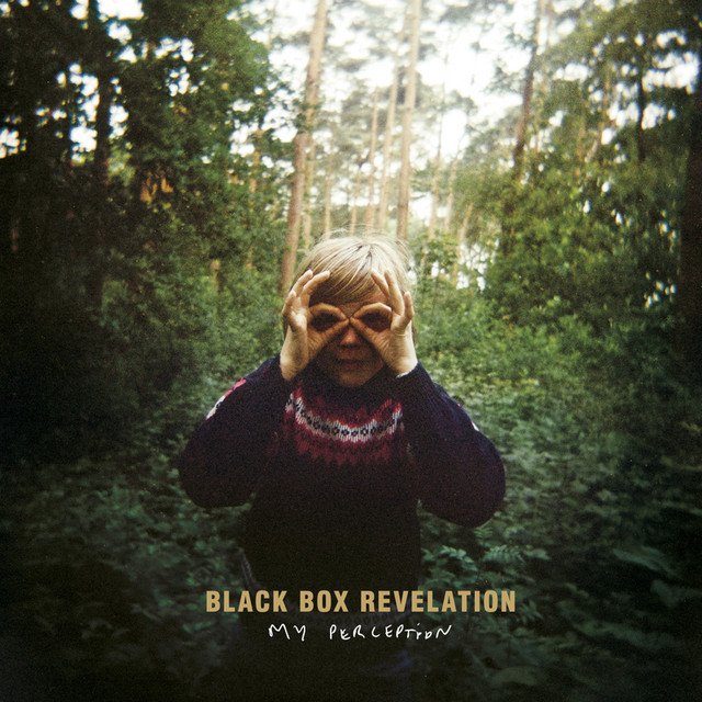 Black Box Revelation – My Perception