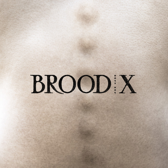 Boss Hog – Brood X