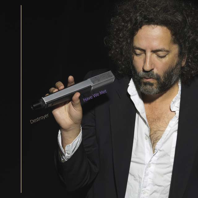 Destroyer – Have We Met
