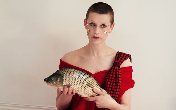 El Perro Del Mar öppnar nya dörrar