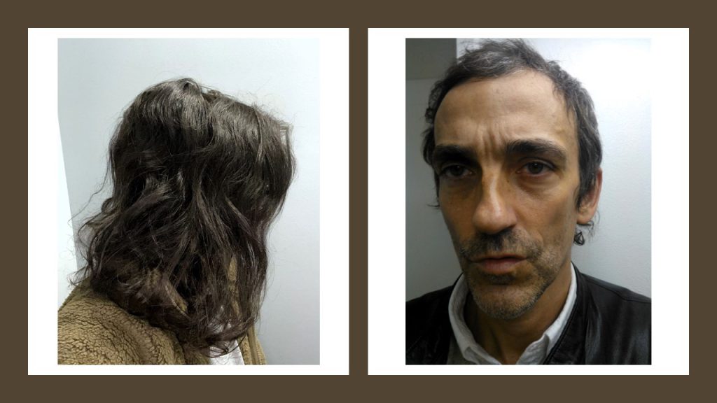 William Carlos Whittens infall och litterära analyser