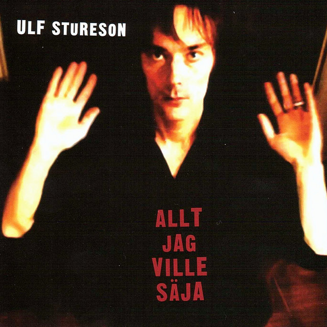 Ulf Stureson – Allt jag ville säja