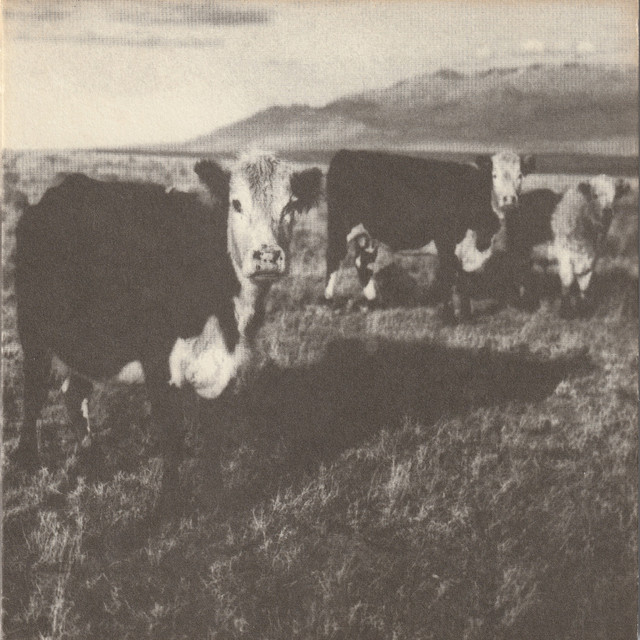 Mark Kozelek – The Finally LP