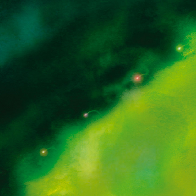 Syd Matters – Someday We Will Foresee Obstacles