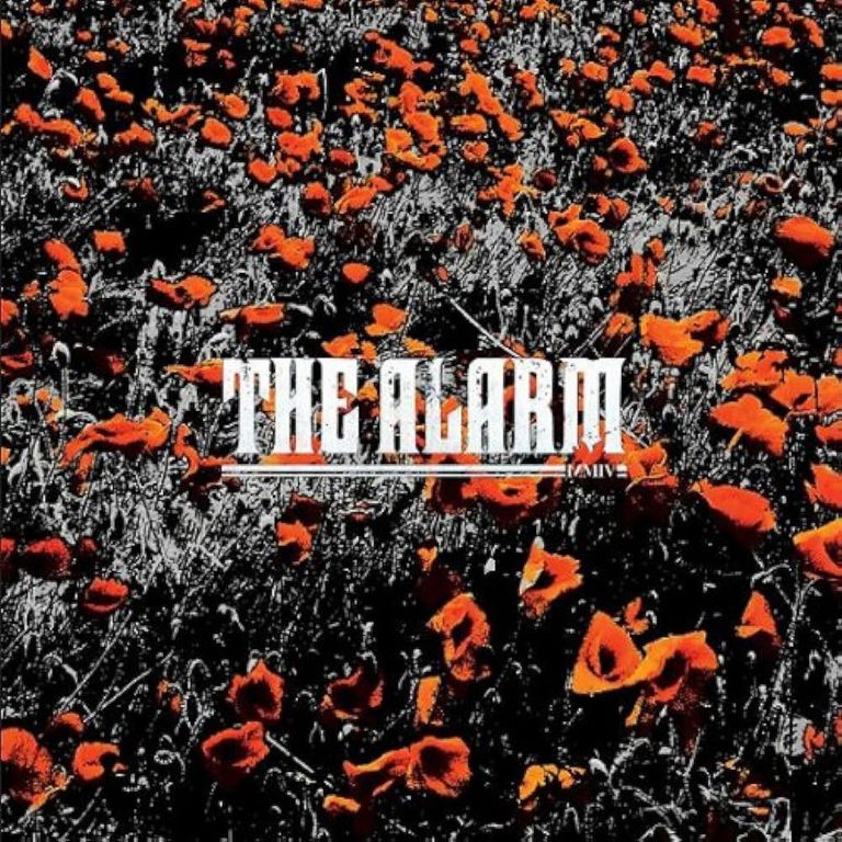 The Alarm – In the Poppy Fields