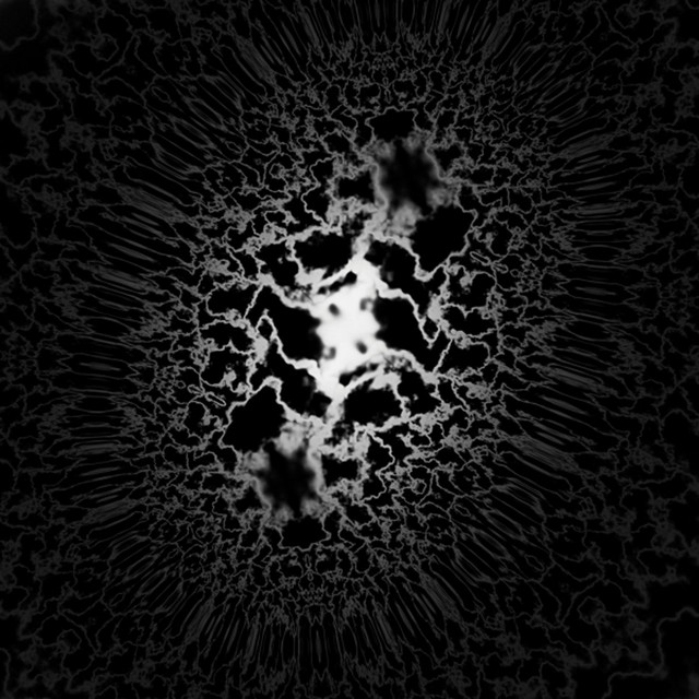 Träd Gräs och Stenar – Hemlösa Katter