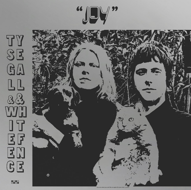 Ty Segall & White Fence – Joy