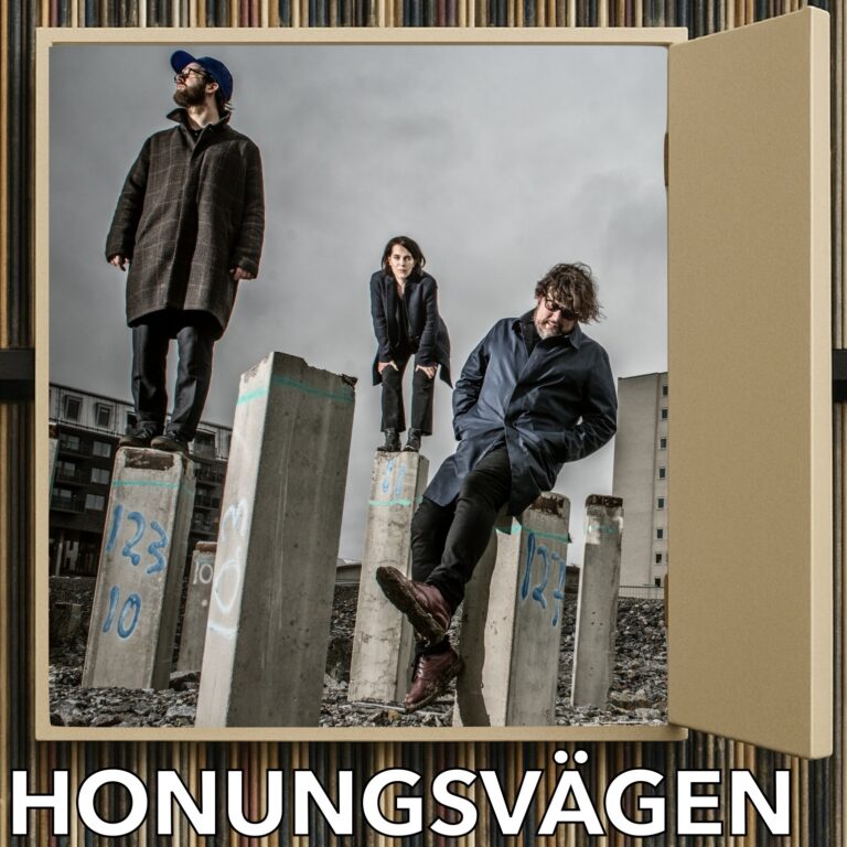 Julkalendern 22 december – Honungsvägen