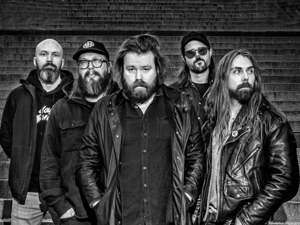 Huggorm – hårt i botten, men täckt med lite grädde