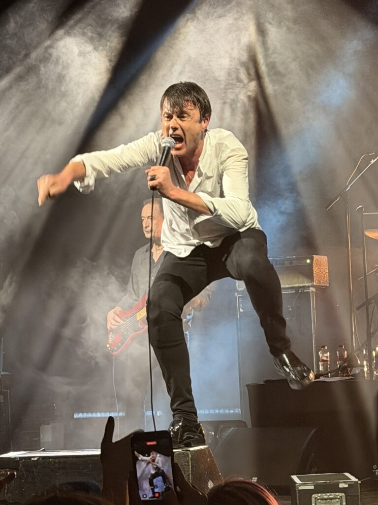 Suede på Banankompaniet