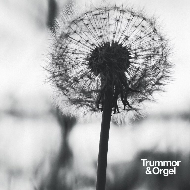 Trummor & Orgel – Graceful Degradation EP