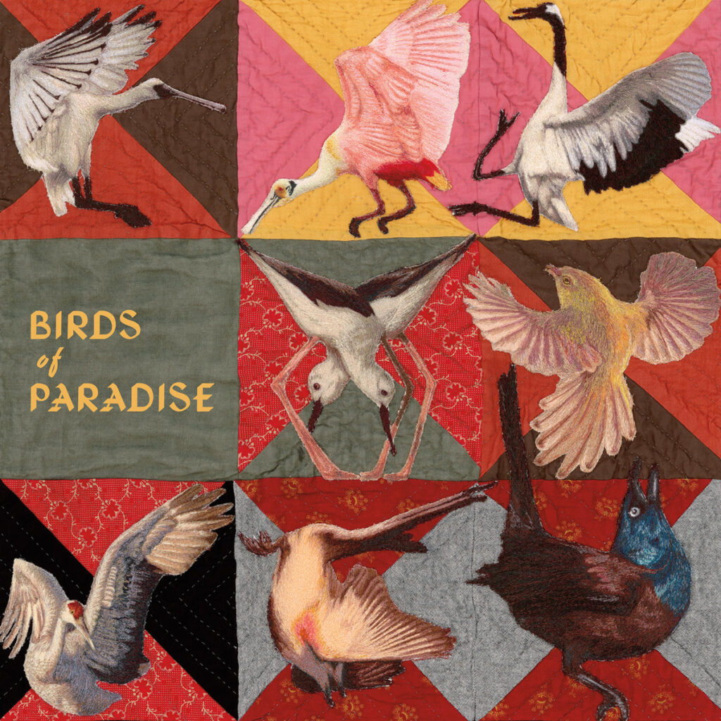 Thomas Dollbaum – Birds of Paradise 