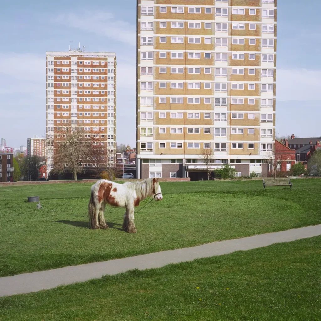 Westside Cowboy – It Goes On