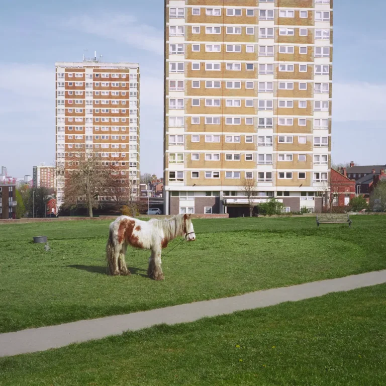 Westside Cowboy – It Goes On