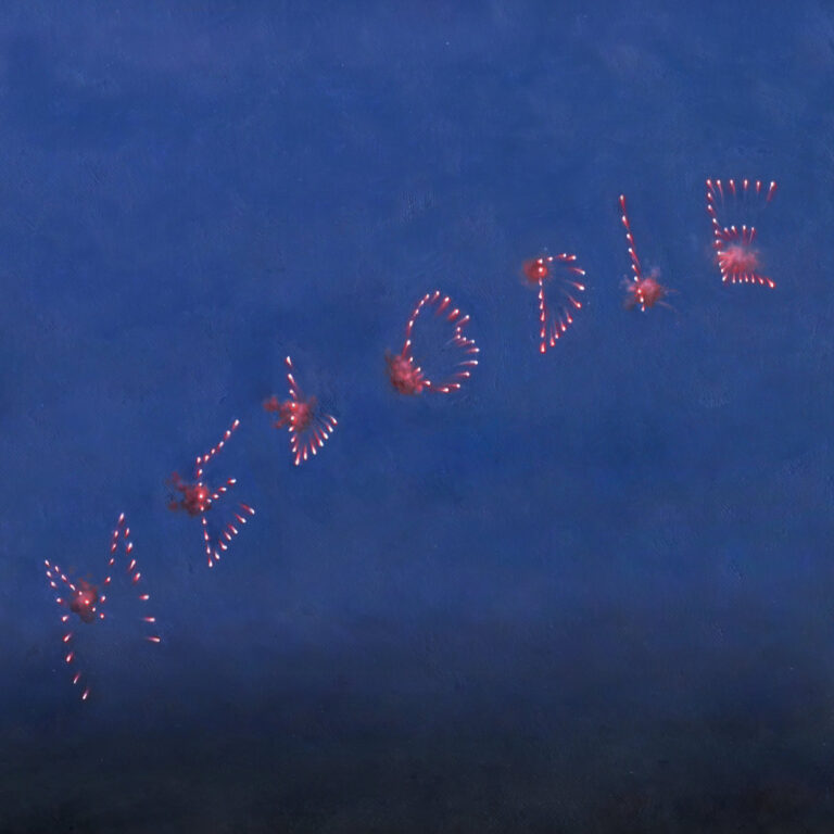 Slow Pulp – Melodie